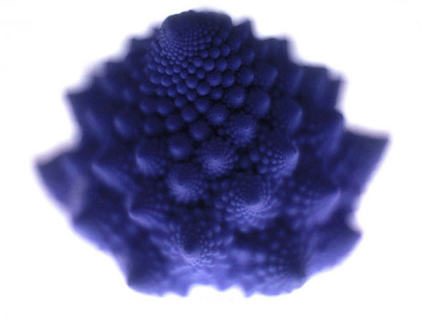 Romanesque Cauliflower