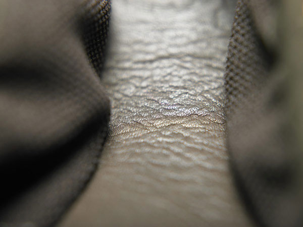 Timberland detail