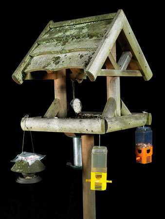 Bird Feeder project