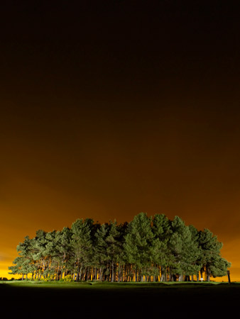 Friends Clump. Autumn