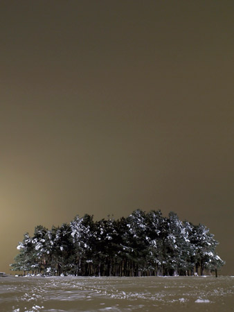 Friends Clump. Winter